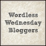 WordlessWednesdayBloggers